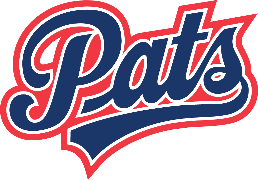 Regina Pats 2014-Pres Primary Logo iron on transfers for clothing